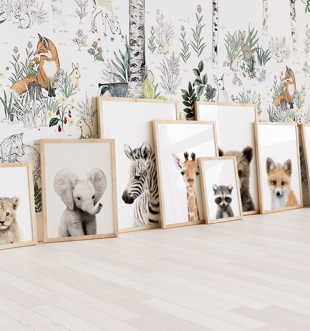 The Baby Animals Collection