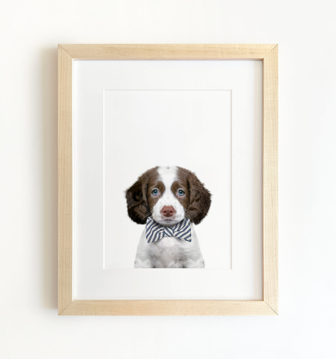 Baby Puppy Springer Spaniel Portrait Framed Art