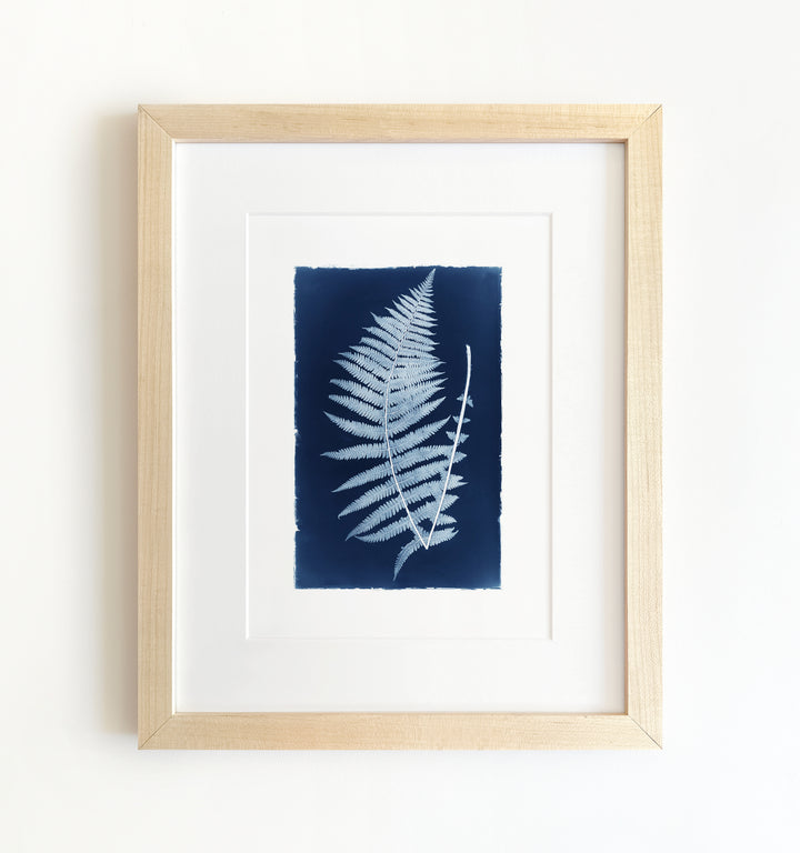 Botanical Cyanotype No. 1