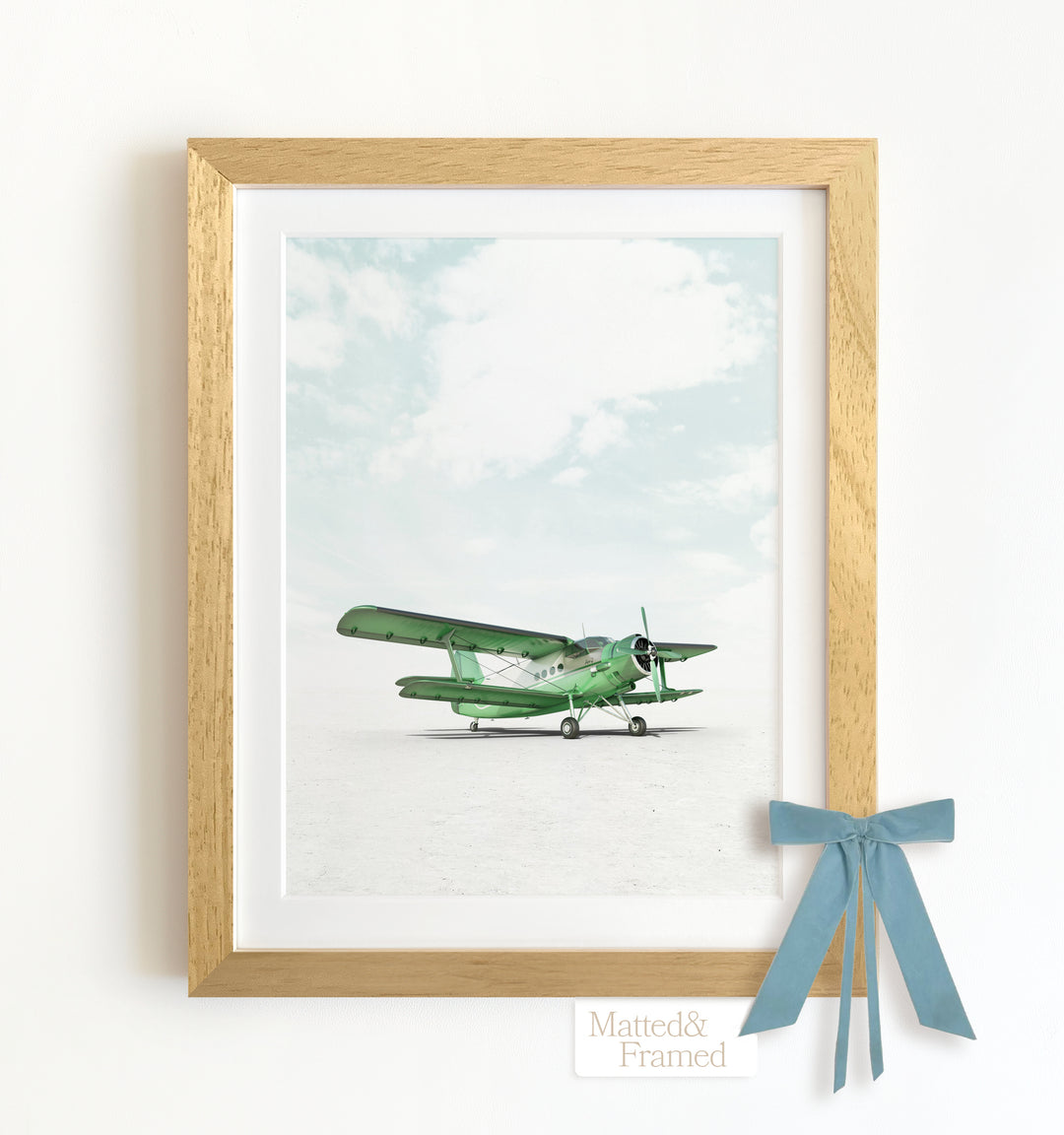 Antonov AN-2 Airplane Framed Art