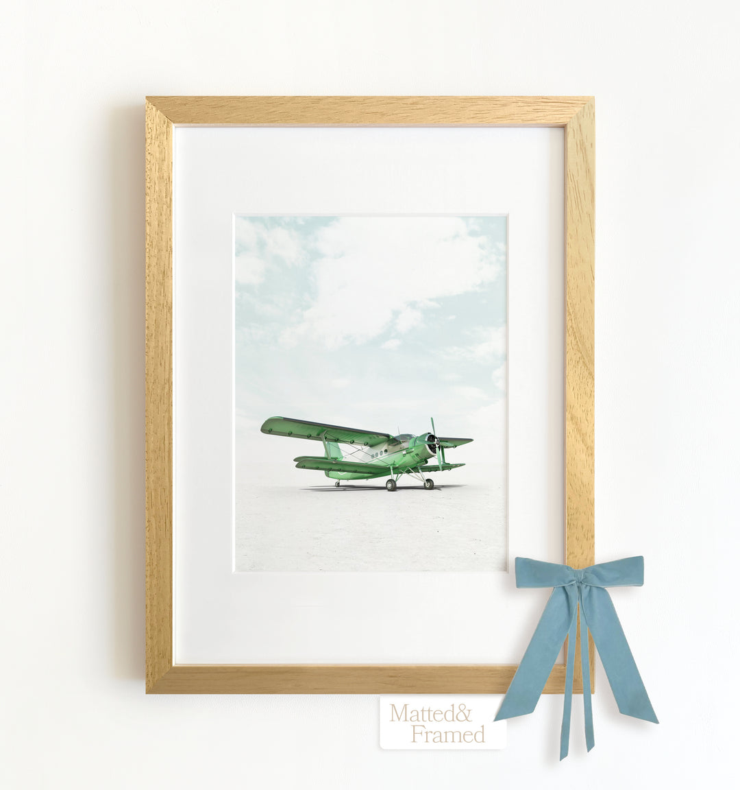 Antonov AN-2 Airplane Framed Art