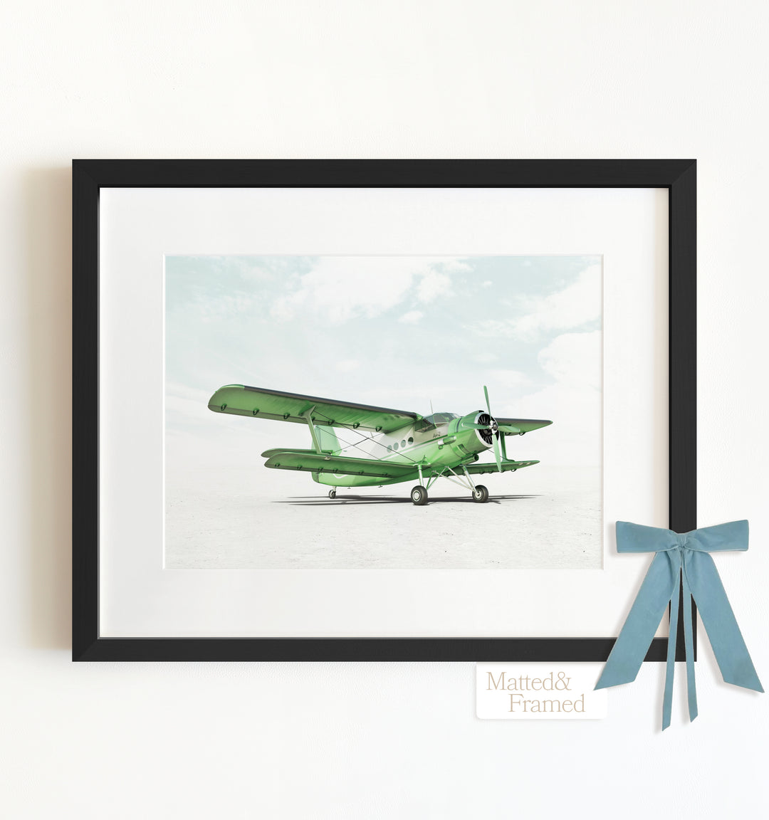 Antonov AN-2 Airplane Framed Art