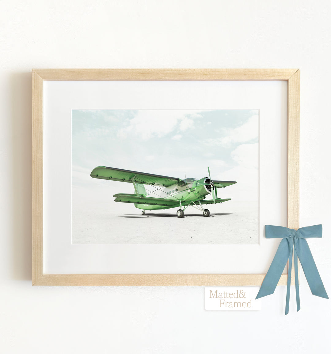 Antonov AN-2 Airplane Framed Art