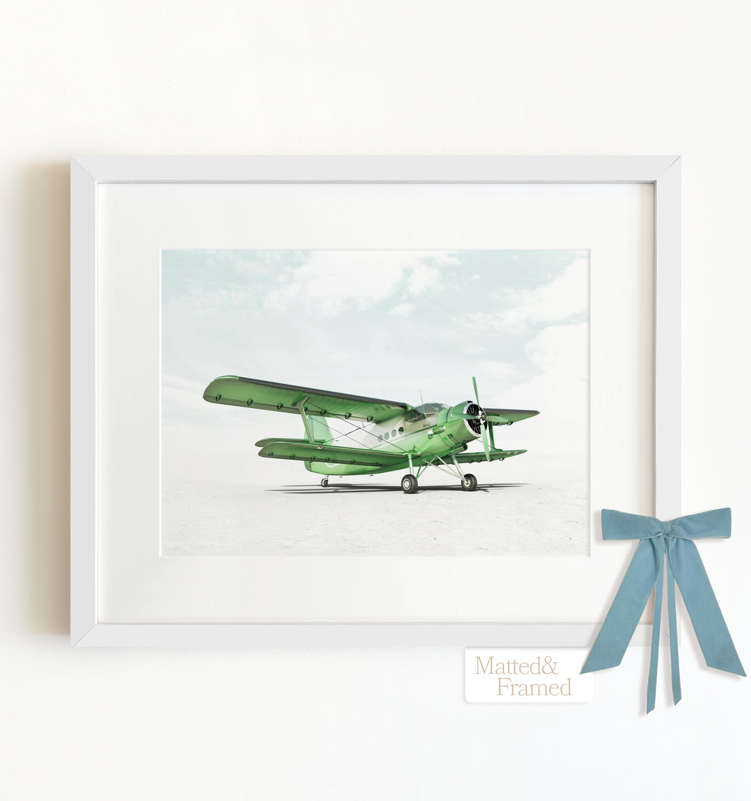 Antonov AN-2 Airplane Framed Art