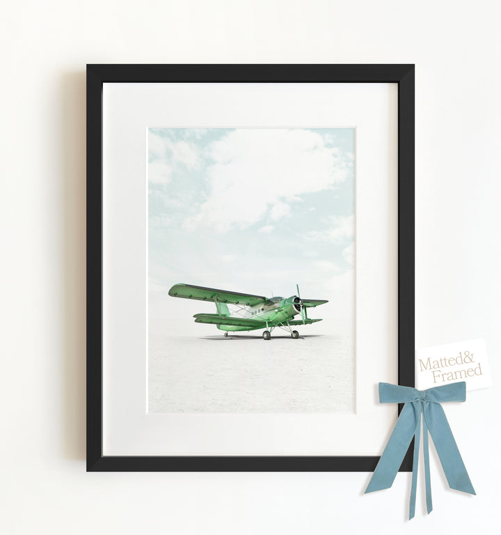 Antonov AN-2 Airplane Framed Art