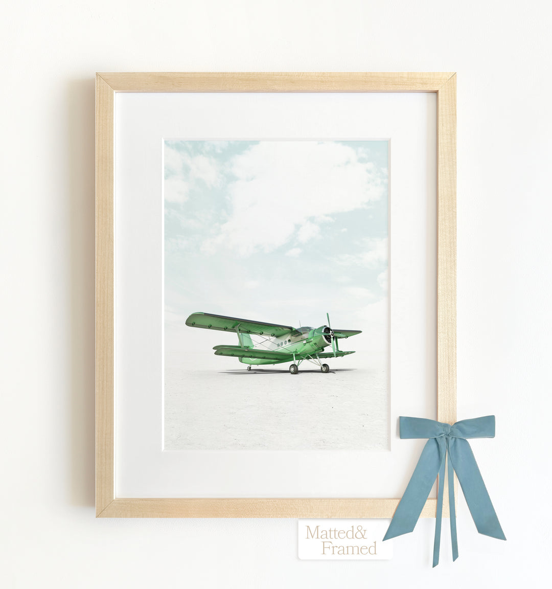 Antonov AN-2 Airplane Framed Art