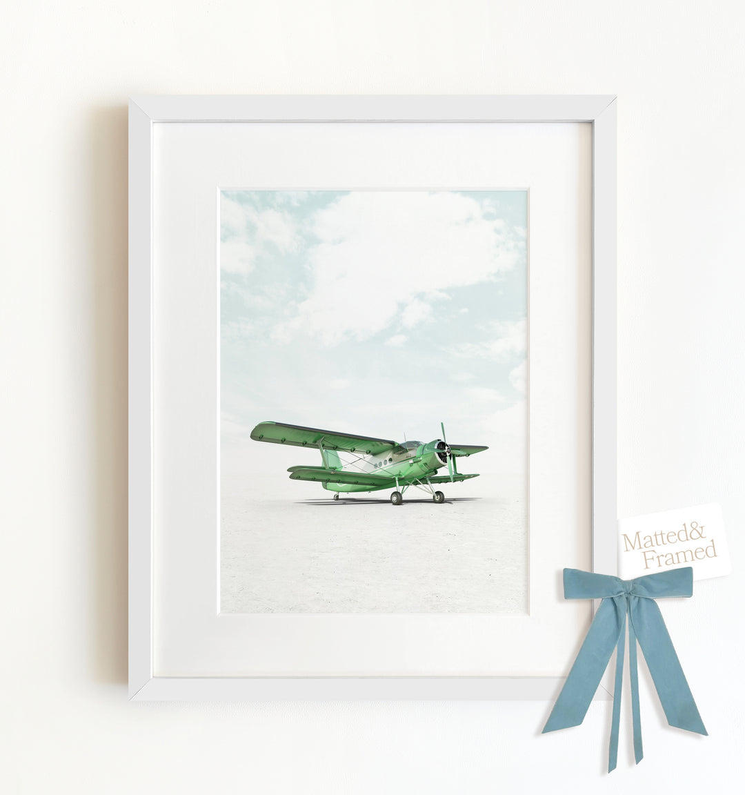 Antonov AN-2 Airplane Framed Art