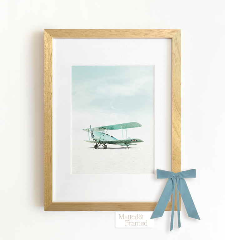 De Havilland Tiger Moth Airplane Framed Art