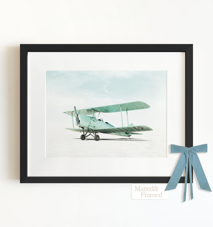 De Havilland Tiger Moth Airplane Framed Art