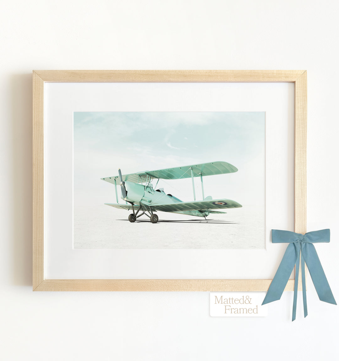 De Havilland Tiger Moth Airplane Framed Art