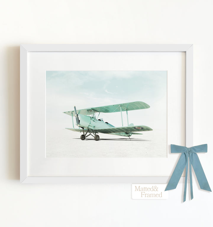 De Havilland Tiger Moth Airplane Framed Art