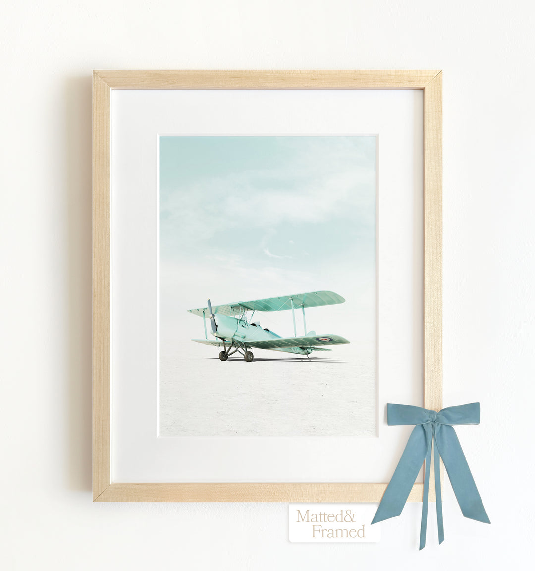 De Havilland Tiger Moth Airplane Framed Art