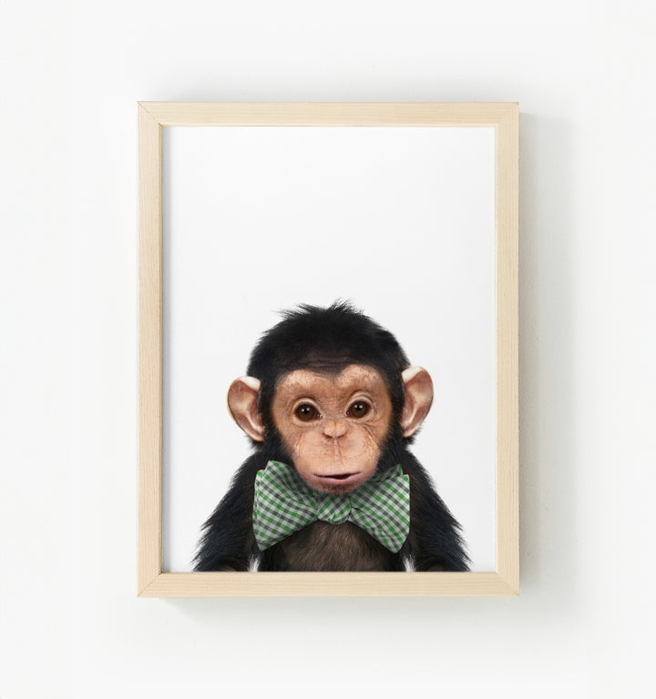 Baby Chimpanzee Framed Canvas
