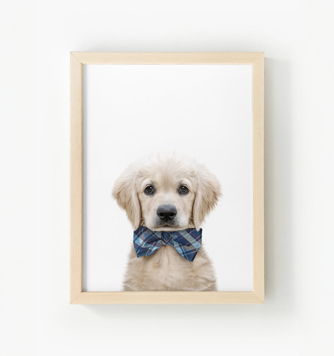 Baby Puppy Golden Retriever Portrait Framed Canvas