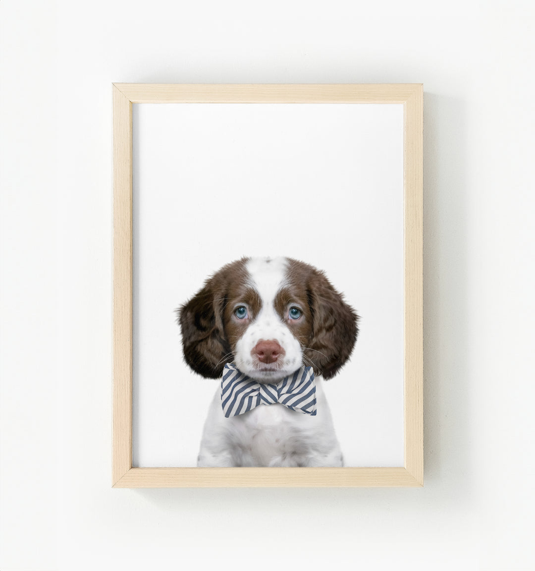 Baby Puppy Springer Spaniel Portrait Framed Canvas
