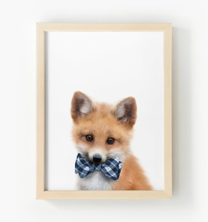 Baby Fox Framed Canvas