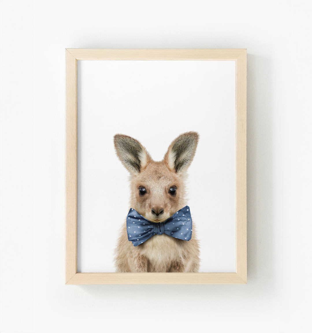 Baby Kangaroo Framed Canvas