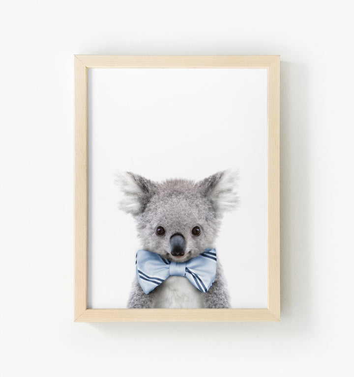 Baby Koala Framed Canvas