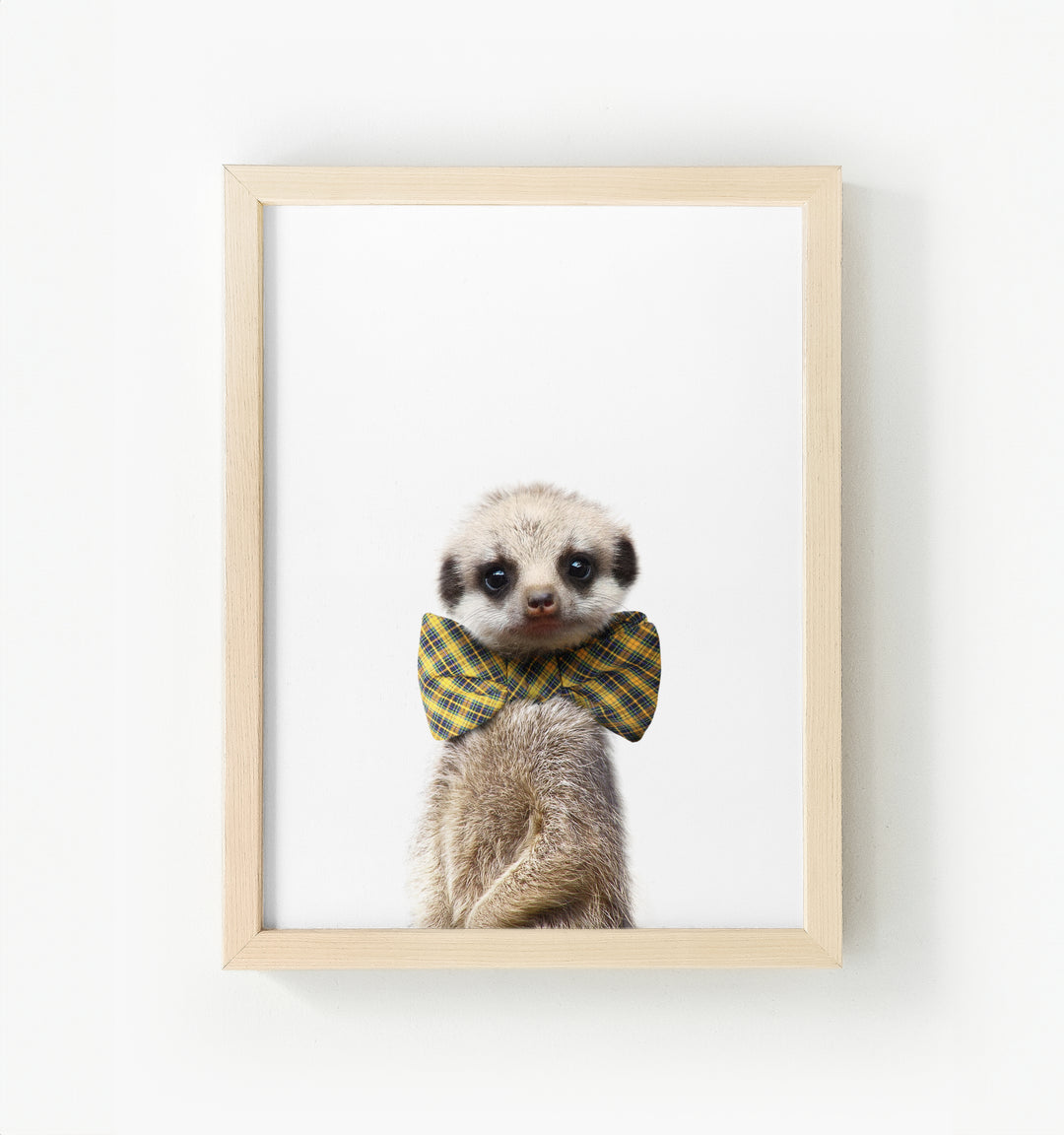 Baby Meerkat Framed Canvas