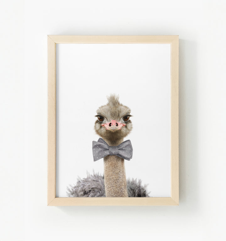 Baby Ostrich Framed Canvas