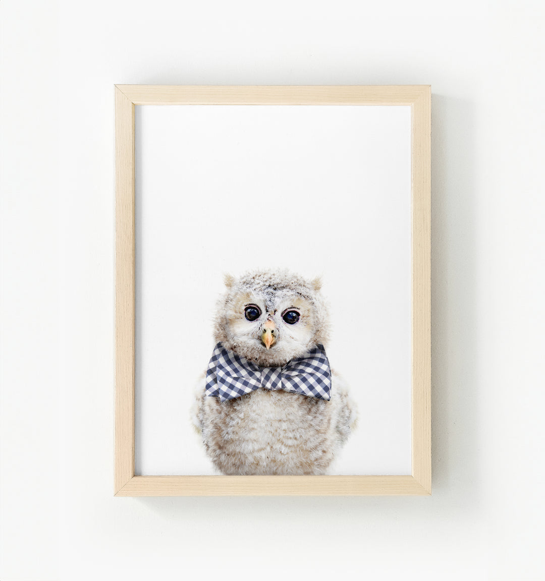 Baby Owl Framed Canvas