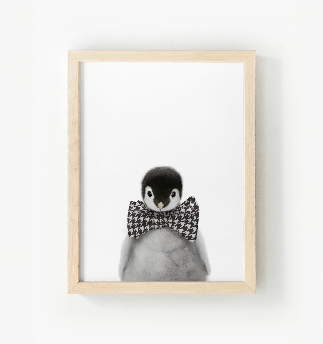 Baby Penguin Framed Canvas