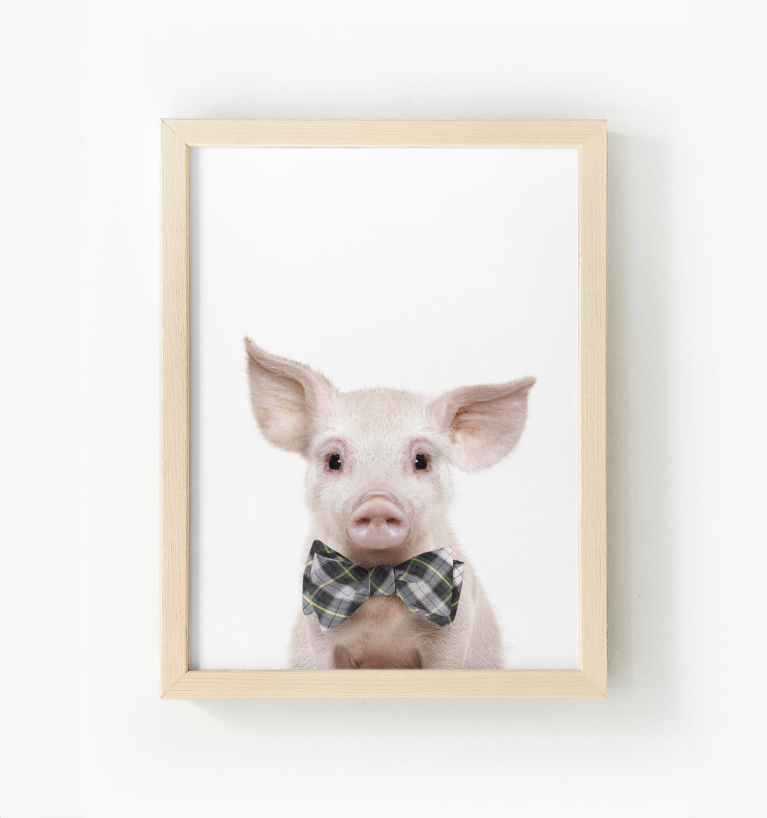 Baby Pig No. 2 Framed Canvas