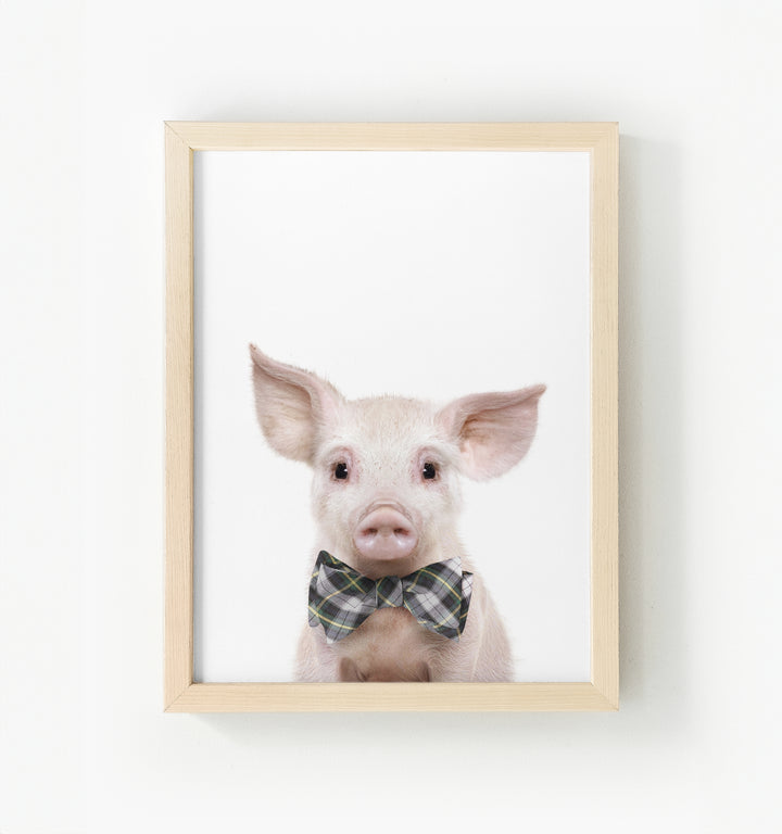 Baby Pig No. 2 Framed Canvas