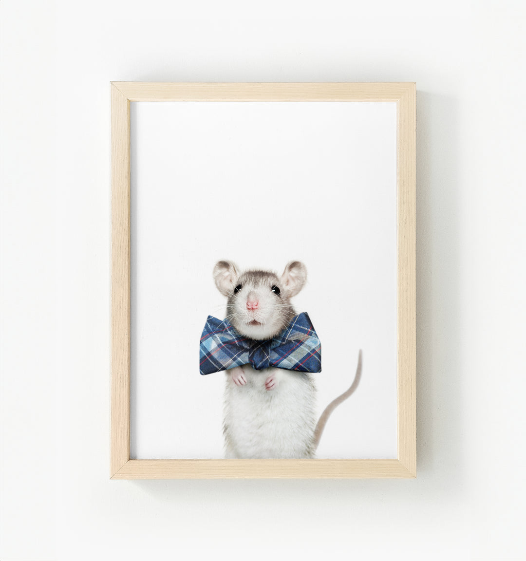 Baby Rat Framed Canvas