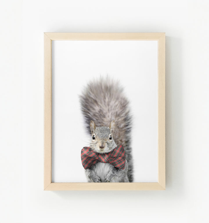 Baby Squirrel Framed Canvas