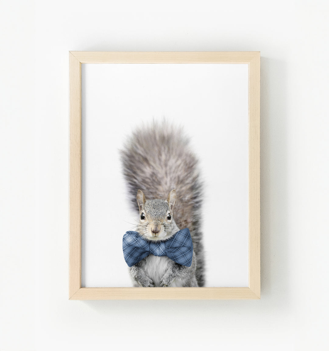 Baby Squirrel Framed Canvas