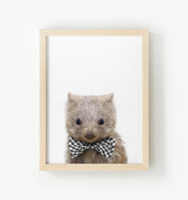 Baby Wombat Framed Canvas