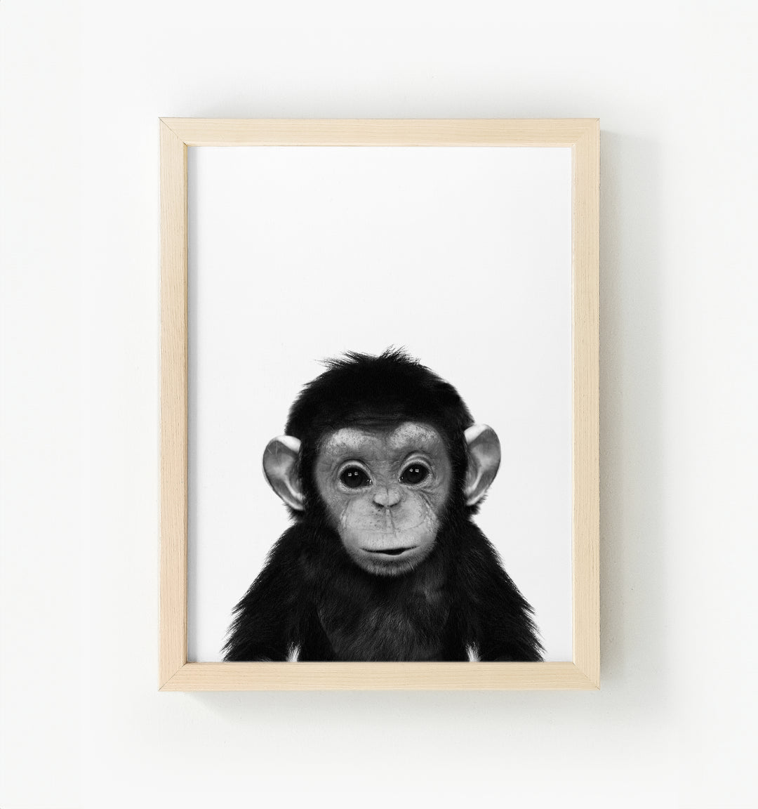 Baby Chimpanzee Framed Canvas