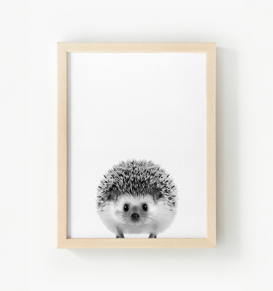 Baby Hedgehog Framed Canvas