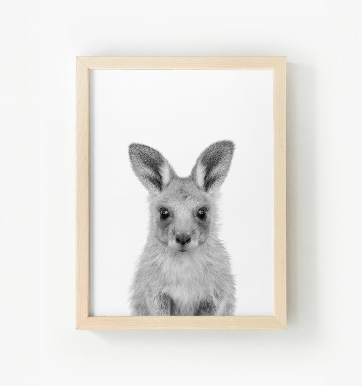 Baby Kangaroo Framed Canvas