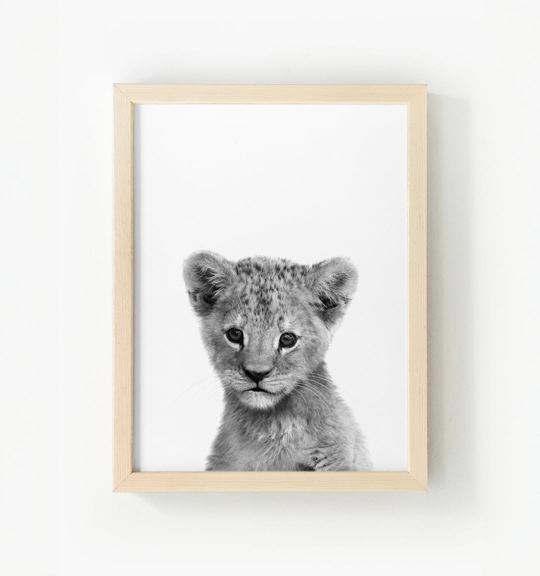 Baby Lion Framed Canvas