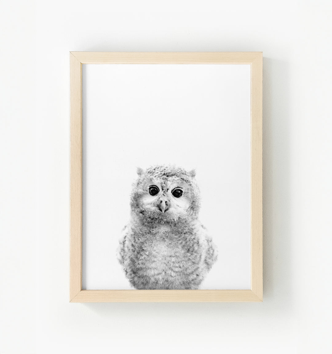 Baby Owl Framed Canvas