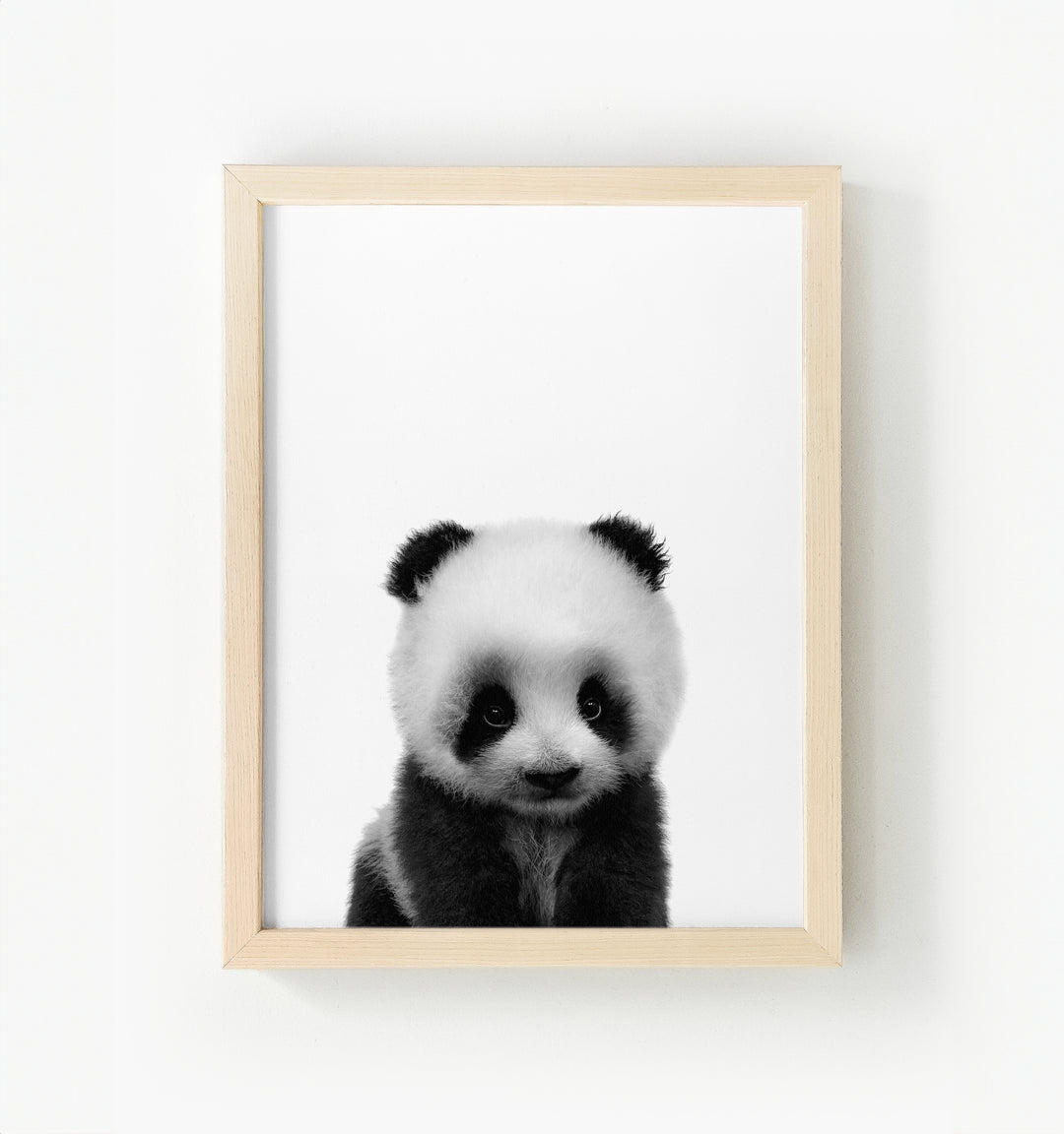 Baby Panda Framed Canvas