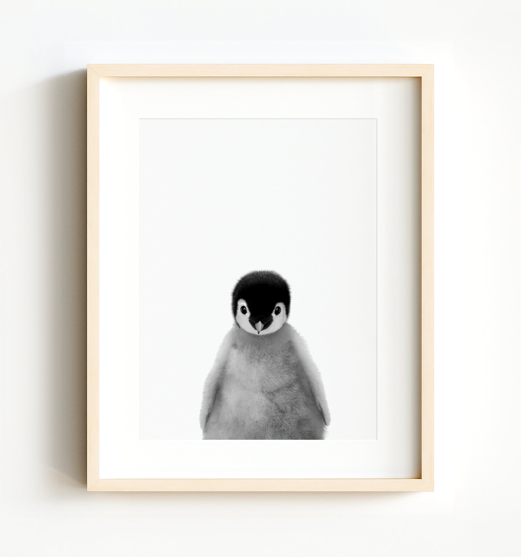 Baby Penguin - The Crown Prints