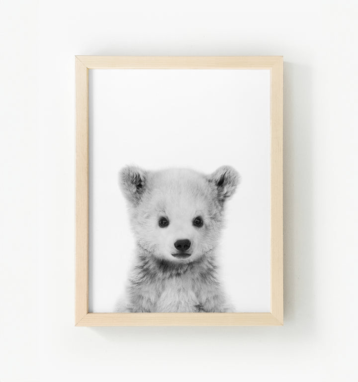 Baby Polar Bear Framed Canvas