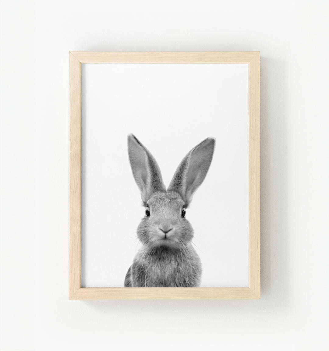 Baby Rabbit Framed Canvas