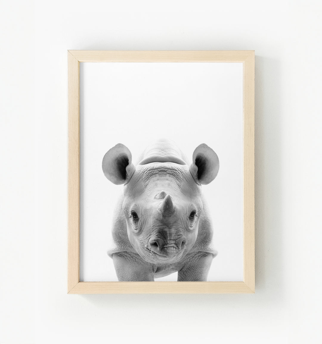 Baby Rhino Framed Canvas