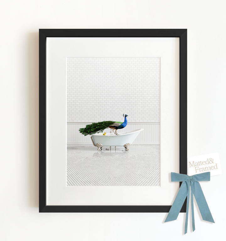 Peacock in Blue Bathtub Framed Art