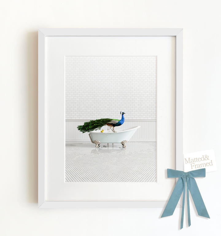 Peacock in Blue Bathtub Framed Art