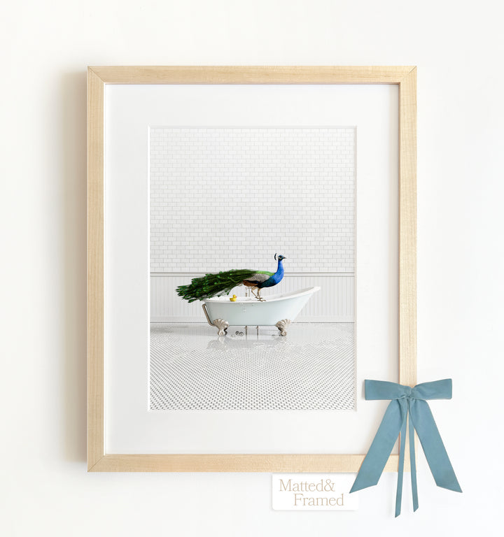 Peacock in Blue Bathtub Framed Art