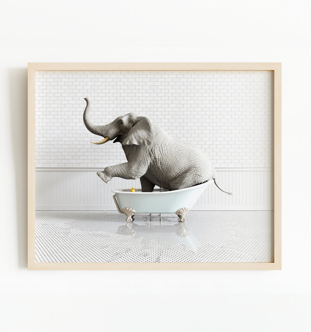 Elephant in Blue Bathtub