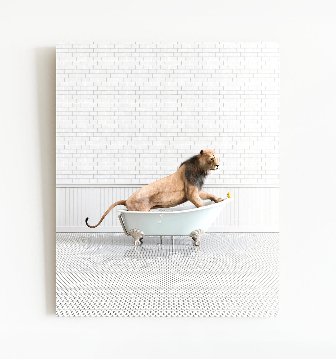 Animals in Bathtubs - Mix and Match Vertical