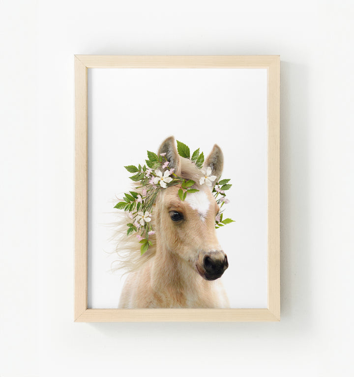 Baby Horse Framed Canvas