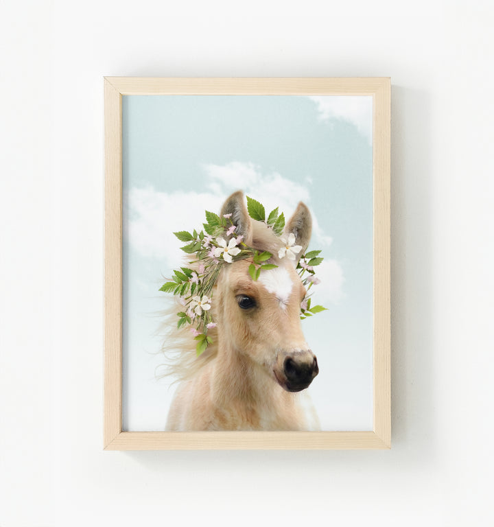 Baby Horse Framed Canvas