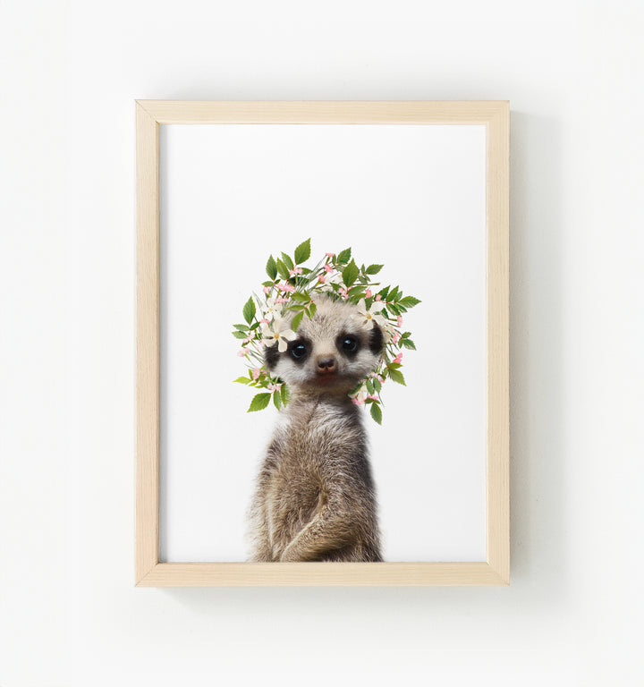 Baby Meerkat Framed Canvas